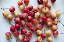 Fresh Rainier Cherries — Stock Photo