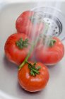 Миття червоні помідори — стокове фото