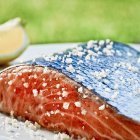 Salmon with salt and lime — Stock Photo