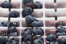 Ice cubes with blueberries — Stock Photo