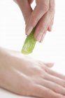 Hands with an aloe vera leaf — Stock Photo