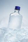 Бутылка водки между кубиками льда — стоковое фото