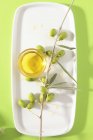 Olive oil and branch — Stock Photo