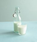 Молоко в стекле и бутылке — стоковое фото