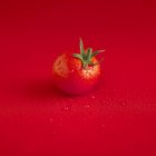 Червоний мокрий помідор — стокове фото