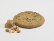 Peanut Butter Cookie — Stock Photo