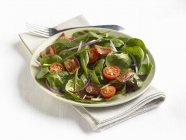 Spinatsalat mit Speck und Kirschtomaten auf weißem Teller über Handtuch — Stockfoto
