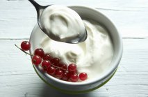 Yogurt with fresh redcurrants — Stock Photo