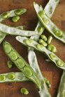 Fresh Broad beans and pods — Stock Photo