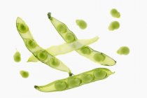 Fresh Broad beans in pods — Stock Photo