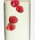 Ripe Raspberries in cold champagne — Stock Photo