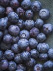 Freshly Washed Blueberries — Stock Photo