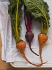 Red and golden beets with stalks — Stock Photo