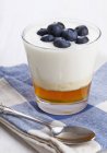 Natural yogurt on honey — Stock Photo