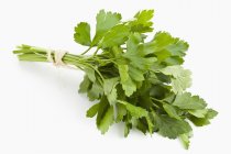 Bunch of flat-leaf parsley — Stock Photo