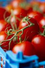 Tomates vermelhos em caixa — Fotografia de Stock