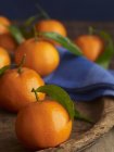 Frische Clementine mit Blättern — Stockfoto