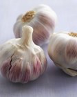 Fresh Garlic Bulbs — Stock Photo