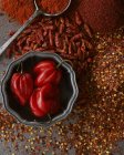 Top view of an arrangement of whole, grated and powdered chilli peppers — Stock Photo