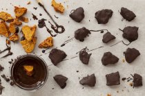 Honeycomb in dark chocolate — Stock Photo