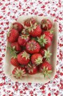 Frische Erdbeeren im Teller — Stockfoto