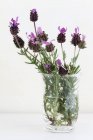 Крупный план цветущей лаванды в вазе — стоковое фото