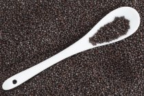 Чорна гірчиця насіння — стокове фото