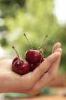 Human hand holding cherries — Stock Photo