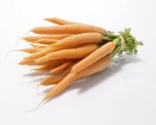 Bébé carottes fraîches avec des tiges — Photo de stock
