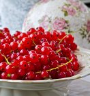 Bowl of ripe redcurrants — Stock Photo