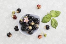 Blackberries with flowers and leaves — Stock Photo