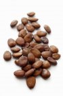 Carob bean seeds — Stock Photo