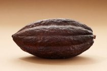 Свежие фрукты какао — стоковое фото