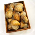 Closeup view of Big Neck clams in crate — Stock Photo