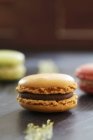 Several colored Macaroons — Stock Photo