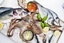Fresh fish with octopus and prawns — Stock Photo