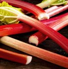 Fresh stalks of Rhubarb — Stock Photo