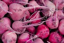 Fresh picked radishes — Stock Photo