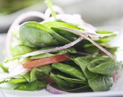 Spinach Salad with Onion and Tomato, Close Up — Stock Photo