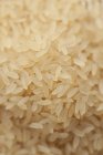 Uncooked long grain rice — Stock Photo