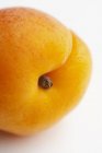 Fresh ripe apricot — Stock Photo