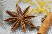 Star anise and a cinnamon stick — Stock Photo
