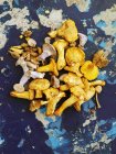 Лисички свіжі гриби — стокове фото