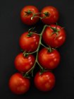 Vitigno di pomodori rossi — Foto stock