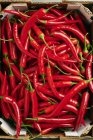 Red Chilli peppers — Stock Photo