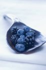 Blueberries and blackberries in wooden spoon — Stock Photo