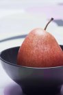 Red pear in bowl — Stock Photo