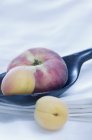 Pfirsiche und Aprikosen im Weinberg — Stockfoto