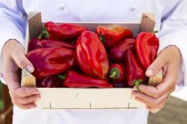 Man holding crate of red peppers — Stock Photo