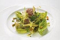 Stuffed artichokes with veal tartar and cos lettuce  on white plate — Stock Photo